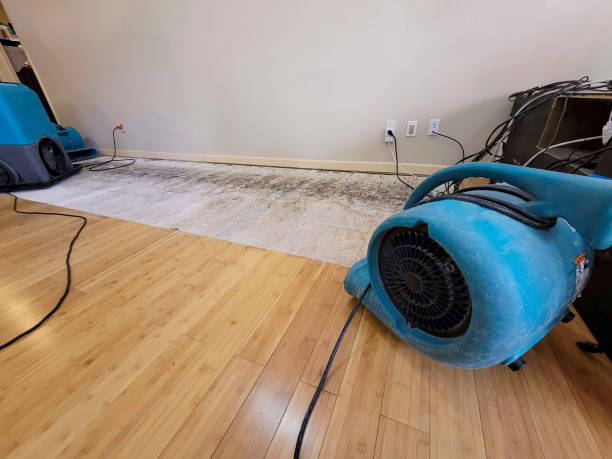 Professional Water Removal technician working in Perry, MI